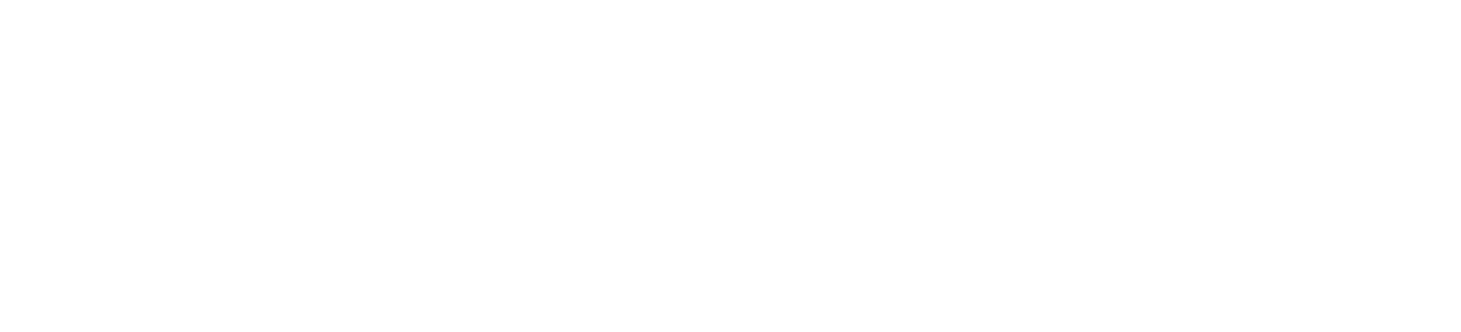 Noviks Logga